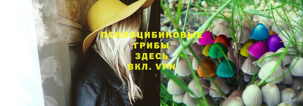 apvp Алексин