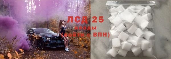гидра Аркадак