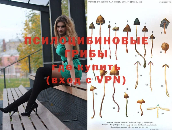 дмт Покачи