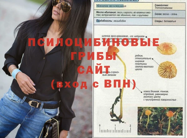 МДМА Алексеевка